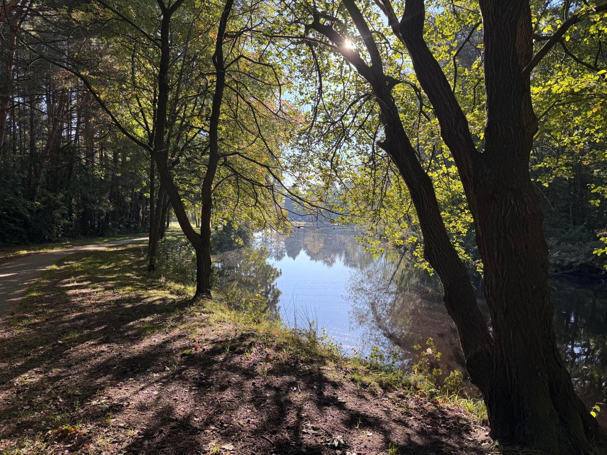 Ferienhaus Wieke Wiesmoor Bagian luar foto